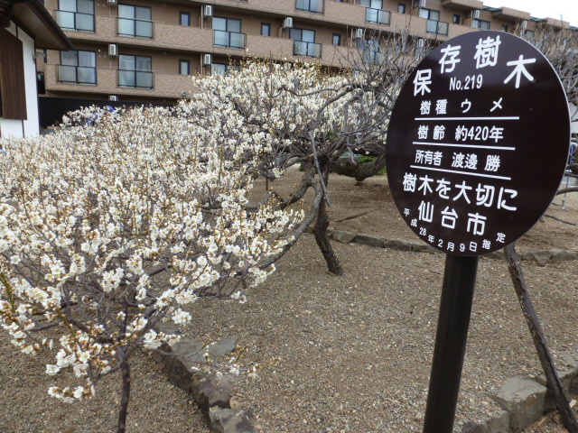 見学２