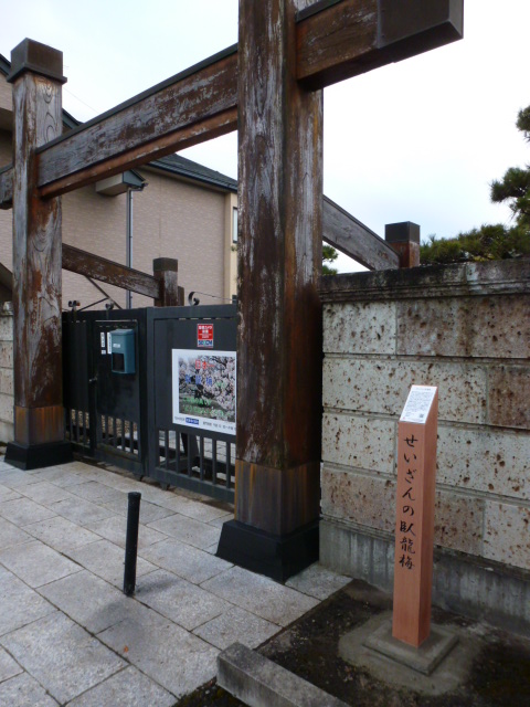 せいざんの臥龍梅